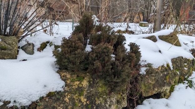 PXL_20260131_101211814