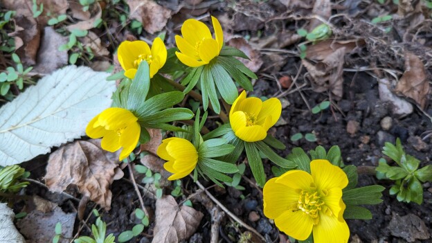 PXL_20260225_160948163